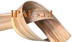 IPAL srl